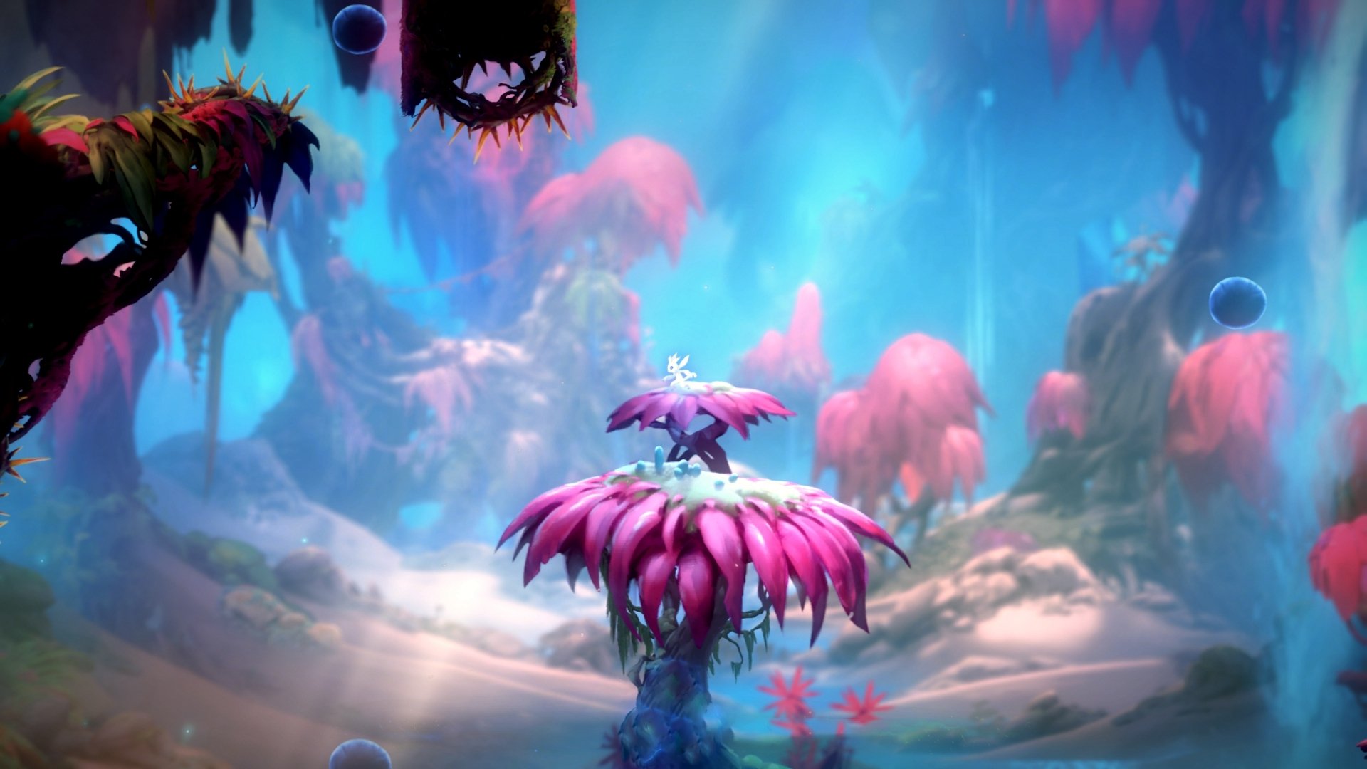 v7.2.5 版本更新,2026年2月24日,开启智能交互新篇章